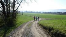 Wanderroute zur�ck nach St. Georgen am Steinfelde 